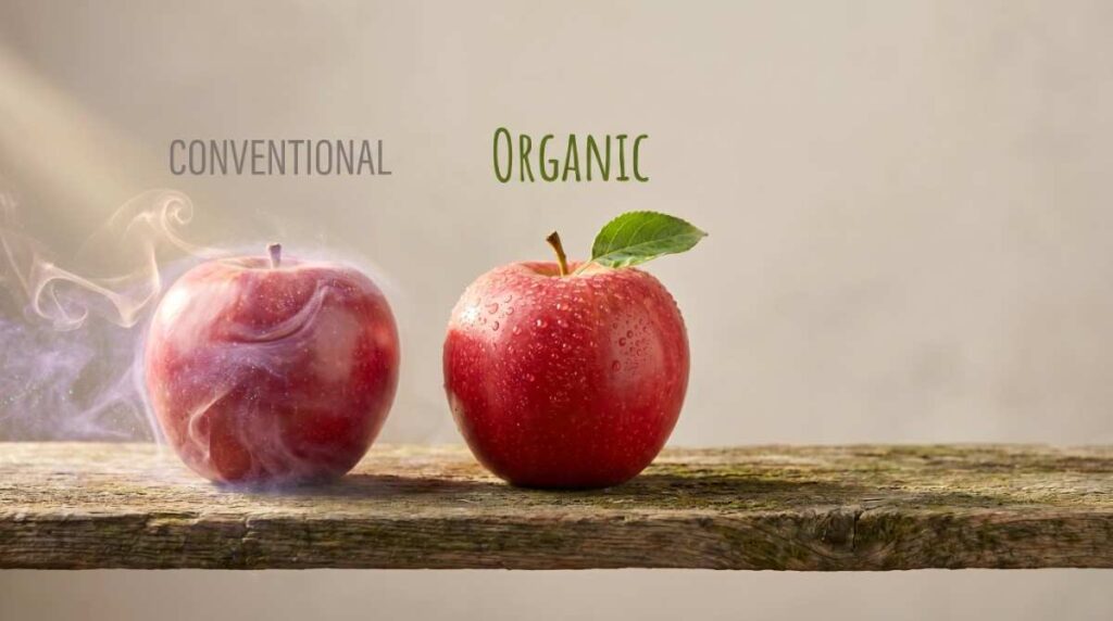 DevChandrika-A comparison of two red apples on a wooden surface; the left apple is labeled "CONVENTIONAL" with artificial purple smoke swirling around it, while the right apple is labeled "ORGANIC" and is covered in fresh water droplets with a green leaf.